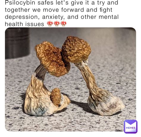 magic mushroom memes|More.